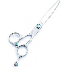 Ensemble de coiffure Ciseaux de coupe de cheveux professionnels 440C 6,0 pouces Japon ciseaux de coupe de cheveux boutique co