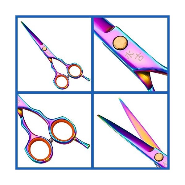 Kit de ciseaux de coupe de cheveux Kit de ciseaux de coupe de cheveux de couleur de 5,5 pouces Ensemble de ciseaux de coupe d