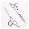 Ciseaux de coiffure professionnels de 6 pouces, ciseaux pour outils de coiffure, ciseaux amincissants, ciseaux ménagers, cise