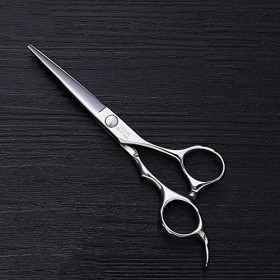 Ciseaux de coupe de cheveux, cisailles à cheveux professionnelles5. Outils de coiffure à cisaillement plat pour coupe de chev