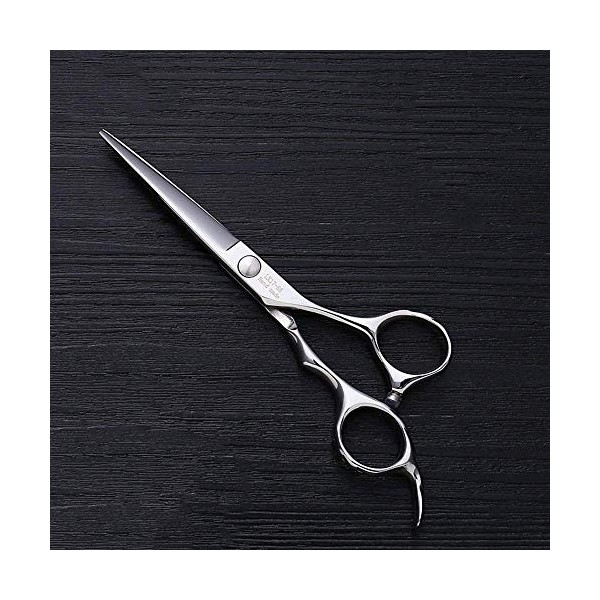 Ciseaux de coupe de cheveux, cisailles à cheveux professionnelles5. Outils de coiffure à cisaillement plat pour coupe de chev