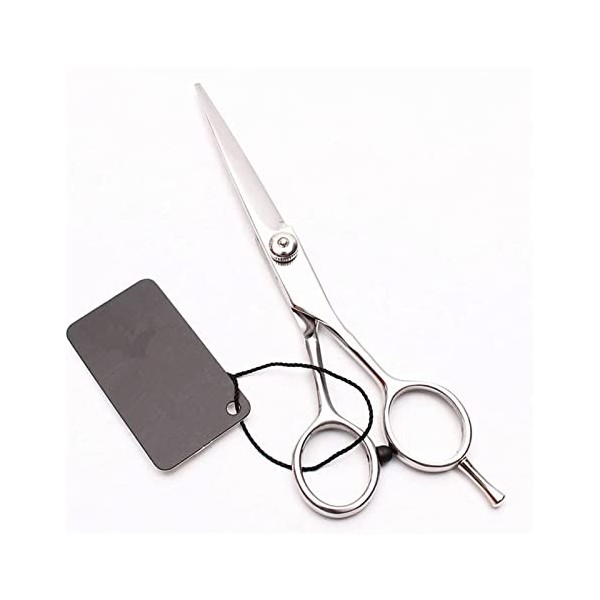 XiYou Ciseaux de Coupe de Cheveux Coupe, 5,5 Pouces Petits Ciseaux à Cheveux Sourcils Coiffeur Maquillage Ciseaux de Coupe Co