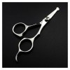 XiYou Ciseaux De Coupe de Cheveux Coupe, Acier Professionnel 4 Pouces Sûr Petit Nez Cheveux Maquillage Sourcils Barber Babay 