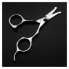 XiYou Ciseaux De Coupe de Cheveux Coupe, Acier Professionnel 4 Pouces Sûr Petit Nez Cheveux Maquillage Sourcils Barber Babay 