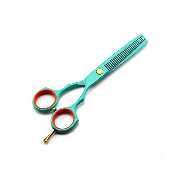 Ciseaux de coiffeur Ciseaux de coupe de cheveux, 5,5 pouces professionnels 440c en acier vert clair, ciseaux de coupe de chev