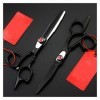 Ciseaux de coupe de cheveux Ciseaux amincissants de coupe Ciseaux de coiffure Ciseaux de coupe de cheveux Set Styling Tool Pr