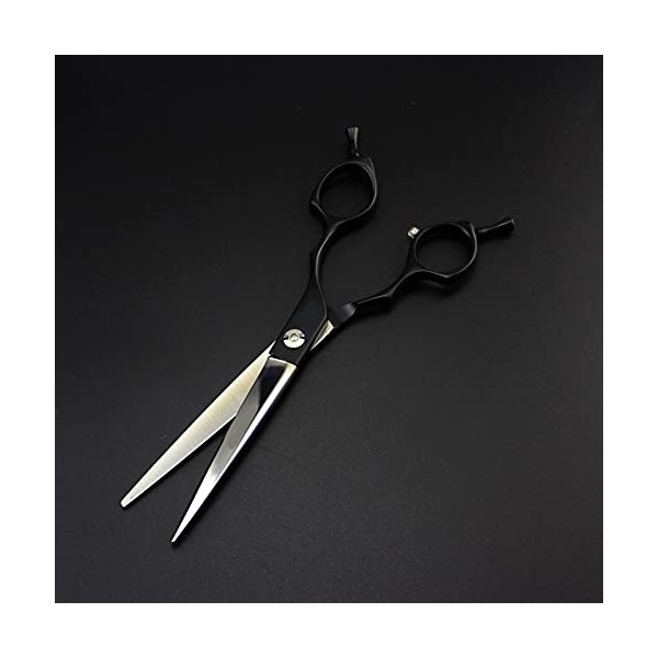 Ciseaux de coupe de cheveux de coiffure professionnelle Ciseaux de coupe de cheveux de salon Kit doutils de coupe de cheveux