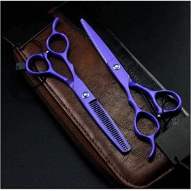 Ciseaux de barbier 6 et 5.5 pouces, ensemble de ciseaux pour cheveux coupés en Voile, ciseaux amincissants pour barbier, cise