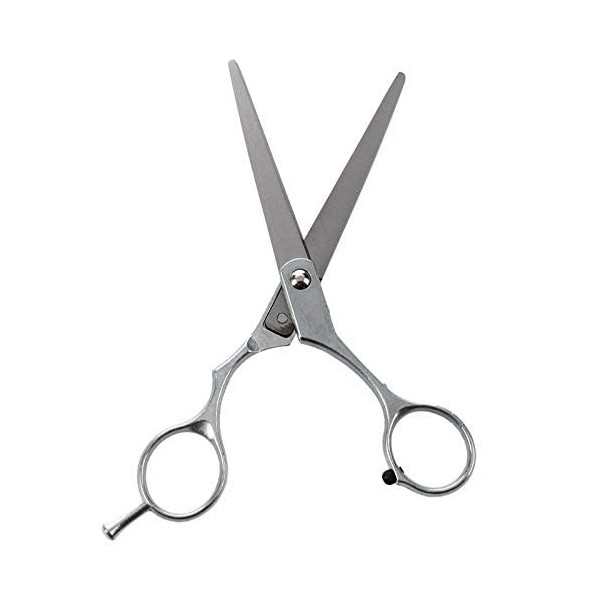 XiYou Ciseaux de Coupe de Cheveux Coupe, 2 pièces en Acier pour Coiffeur Coupe de Cheveux et Ciseaux à effiler Coiffure Coiff