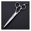 NC Ciseaux de Coiffure Professionnels de 6 Pouces, Ciseaux de Coupe de Cheveux de styliste, Coupe Plate, Outils de Coiffeur C