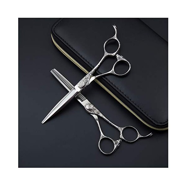 Ciseaux de coupe de cheveux Kits, 6 pouces Ciseaux de coupe de cheveux professionnels et coiffure ciseaux à effiler Salon/Acc