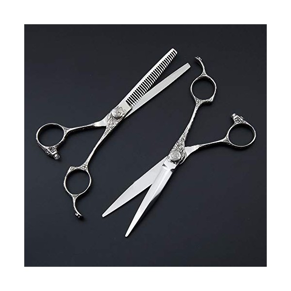 Ciseaux de coupe de cheveux Kits, 6 pouces Ciseaux de coupe de cheveux professionnels et coiffure ciseaux à effiler Salon/Acc