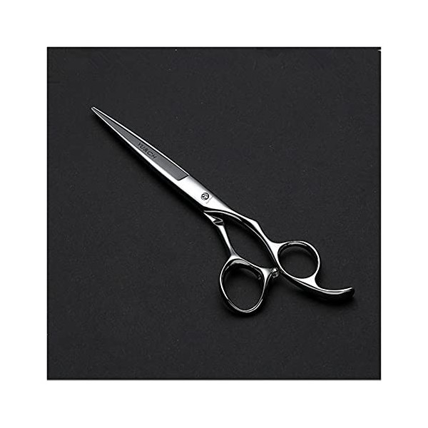 Ciseaux pour coupe de cheveux Ensemble de ciseaux de coiffure de 6 pouces Style de cheveux Coupe de cheveux/Ciseaux de coiffu