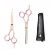 Ciseaux amincissants professionnels, kit de ciseaux de coiffure professionnels de 5,5 pouces or rose finition miroir coupe 