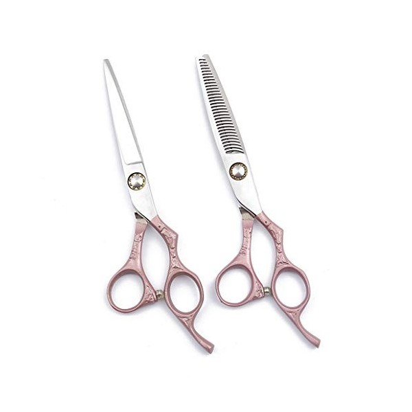 Professionnel Ciseaux de coiffure haut de gamme 6,0 pouces personnalité Droitière Set 440C Barber Scissor Texture Dilution Ci