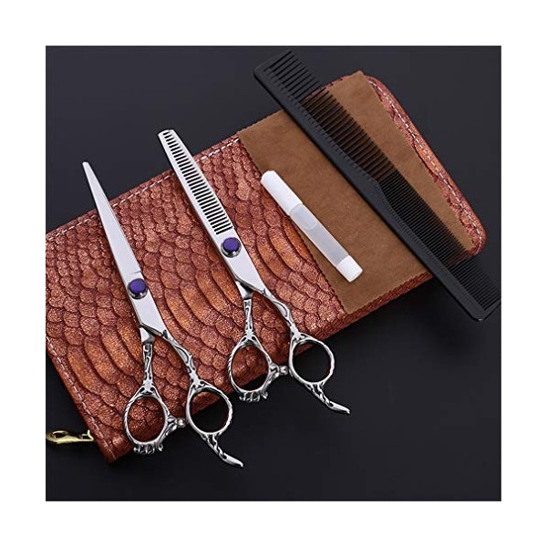 6,0 Pouces Professionnel Ciseaux De Coiffure Set, Salon De Coiffure Ciseaux Ciseaux Droits Et Ciseaux À Effiler , Outil Styl