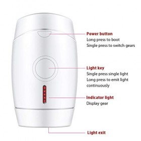 QWEASDF Épilateur Lumière Pulsée IPL, Épilateur Laser Permanent Indolore À Domicile, Unisexe, Aisselles, Jambes, Poils des Lè