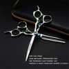 HIJIN 6,0 Pouces Coupe De Cheveux Ciseaux Set, 440C Japonais en Acier Dilution Scissor Barbershop Salon Ensemble, Lames Tranc