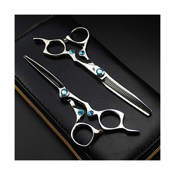 HIJIN 6,0 Pouces Coupe De Cheveux Ciseaux Set, 440C Japonais en Acier Dilution Scissor Barbershop Salon Ensemble, Lames Tranc