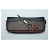 Ciseaux à cheveux Ciseaux de coupe de coiffure Ciseaux amincissants Outils de coiffure Amincissement Add Case L 