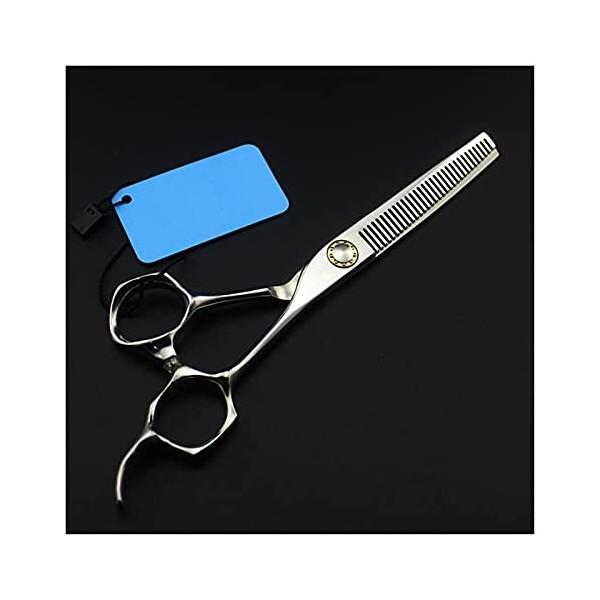 Ciseaux pour coupe de cheveux Ciseaux de coiffure à roulement de 6 pouces Ciseaux de maquillage Ciseaux à dents de coiffeur C