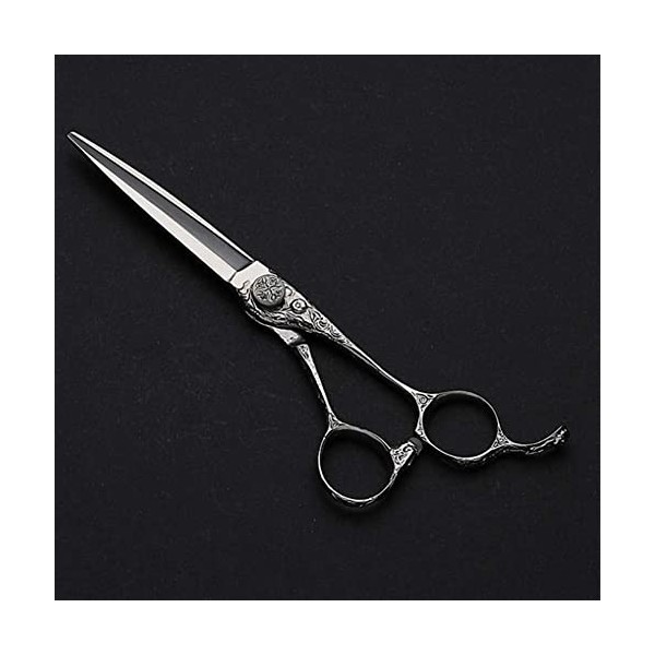 Ciseaux de coiffure professionnels pour coiffeur en acier inoxydable 6 pouces, argent, coupe de dents 6 pouces