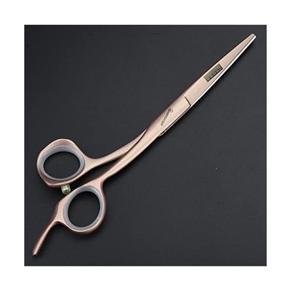 5.5/6.0/5,5 Pouces Ciseaux De Coiffure De Coiffure En Acier Inoxydable, Outils De Cisaillement De Coiffeur Professionnel Cis