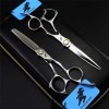 Professional 6.0 Pouces Coiffure Haut de Gamme Ciseaux + Diluant Dents Coupe de Cheveux Ciseaux Set Barber Personnalité Salon