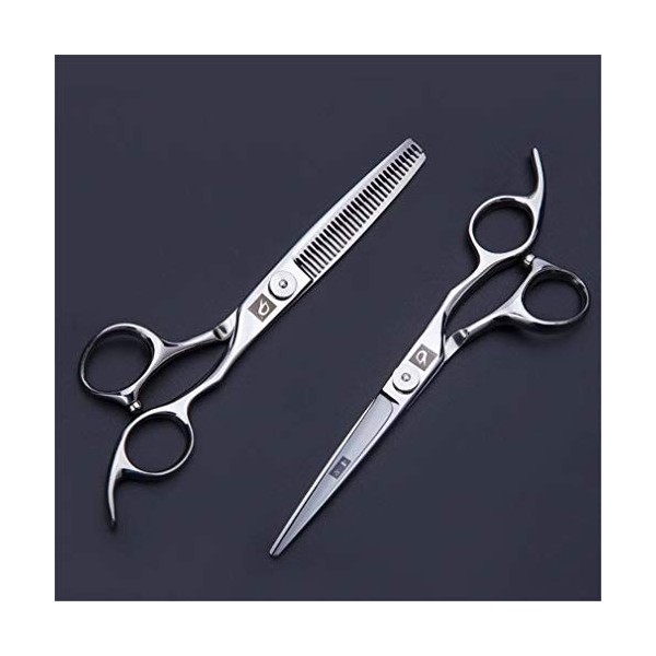 Professional 6.0 Pouces Coiffeur Beauté Coiffure Cheveux Ciseaux Set 440C Barber Ciseaux rhéofluidifiant Haircut Salon Outil 