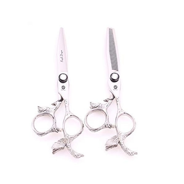 YING Ensemble de Ciseaux de Coiffure en Argent de Haute qualité Professionnel de 5,5/6,0 Pouces, Outils de Coupe de Cheveux P