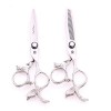 YING Ensemble de Ciseaux de Coiffure en Argent de Haute qualité Professionnel de 5,5/6,0 Pouces, Outils de Coupe de Cheveux P