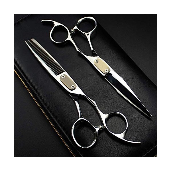 YQGOO Ciseaux de Coiffure Ciseaux à Cheveux Chauds pour Kit de Coiffeur Salon de Coiffure Ciseaux de Coupe Professionnels, 6 