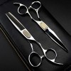 YQGOO Ciseaux de Coiffure Ciseaux à Cheveux Chauds pour Kit de Coiffeur Salon de Coiffure Ciseaux de Coupe Professionnels, 6 