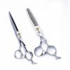 6 Professional Barber Hair Cutting Scissors Hairdressing Thinning Shears Set - Razor Edge and Teeth Edge, Thinning Hair Sh