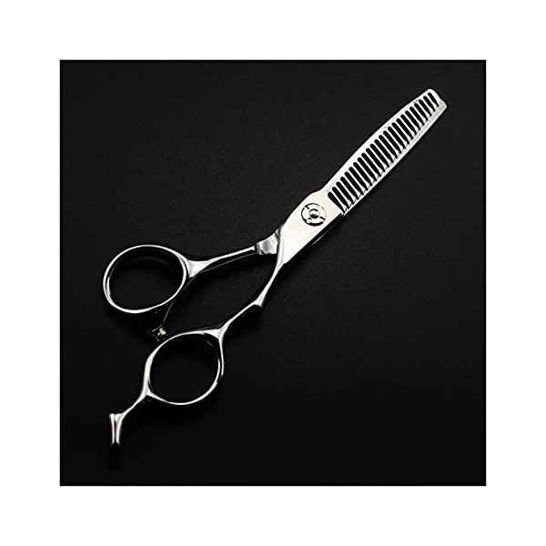 Ciseaux pour coupe de cheveux Ciseaux de coiffure argentés de 6 pouces, ciseaux de coiffeur pour coupe de cheveux et aminciss