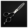 Ciseaux pour coupe de cheveux Ciseaux de coiffure argentés de 6 pouces, ciseaux de coiffeur pour coupe de cheveux et aminciss