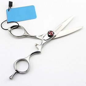 Ciseaux de coiffeur Ciseaux de coupe de cheveux, 5,5 pouces Professionnel Japon 440c Acier Haut de gamme Ciseaux Gem Ciseaux 