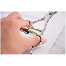 Ensemble de coiffure Coiffeur Coupe de cheveux Amincissementciseaux de coupe de cheveux Salonciseaux de coupe de cheveux Ense