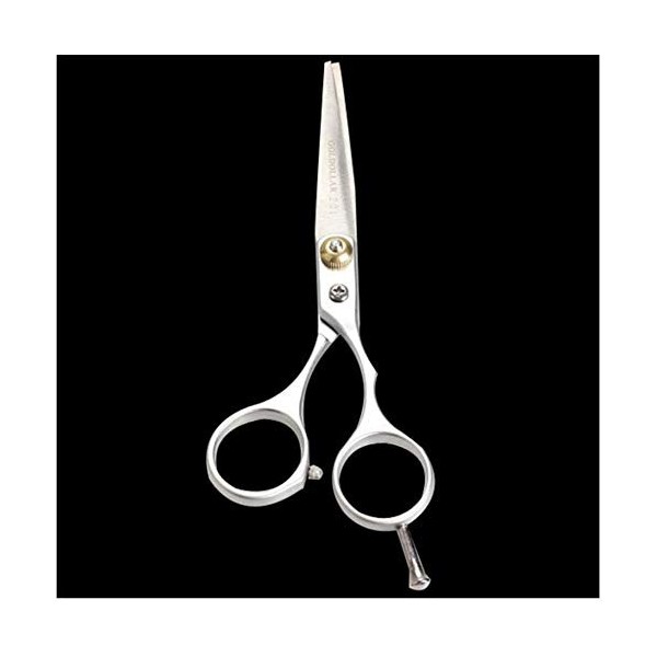 Ensemble de coiffure ciseaux à effiler professionnels en acier inoxydable ciseaux de coupe de cheveux réguliers outil de coif