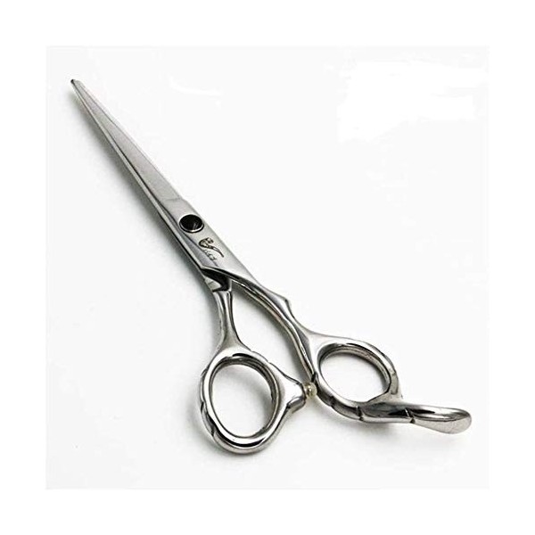 Ensemble de coiffure 6 "tuyau professionnel en acier inoxydable ciseaux de coupe de cheveux Salon Cut + amincissement ciseaux