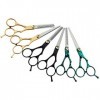 Ensemble de coiffure 6 couleurs Salon de beauté Outils de coupe Salon de coiffure Ciseaux de coupe de cheveux Outils de coiff