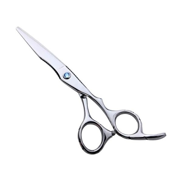Ciseaux de coiffeur Ciseaux de coiffure professionnels 6 pouces plats + ciseaux à dents Ensemble de ciseaux de coiffure