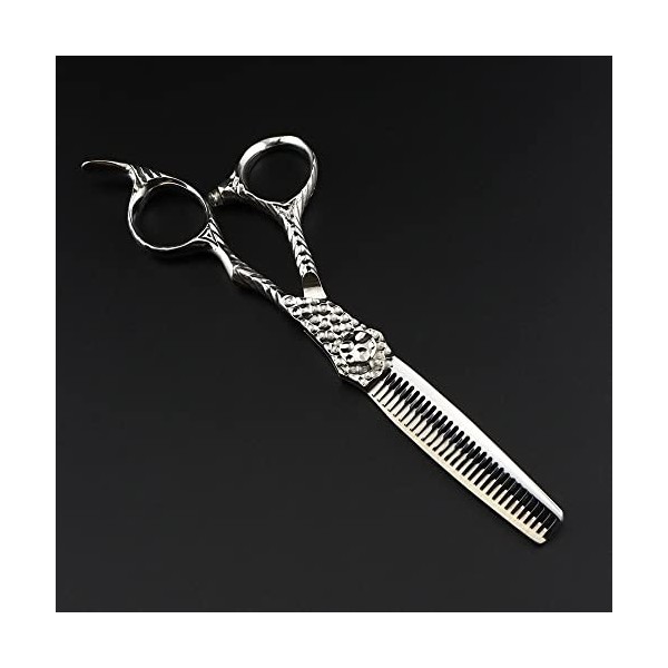 AIRLUS Ciseaux Coiffure Professionnel 440c Acier 6 en Haut de Gamme Argent Cheveux Ciseaux Coupe de Cheveux amincissement bar