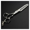 Ciseaux pour coupe de cheveux Ciseaux de coiffure de 6 pouces, ciseaux de coiffure professionnels en acier inoxydable, ciseau