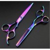 Ciseaux de coiffeur professionnel 6.0 pouces violet ciseaux de coupe amincissant ciseaux de coiffure coupe cheveux Style Salo