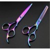 Ciseaux de coiffeur professionnel 6.0 pouces violet ciseaux de coupe amincissant ciseaux de coiffure coupe cheveux Style Salo