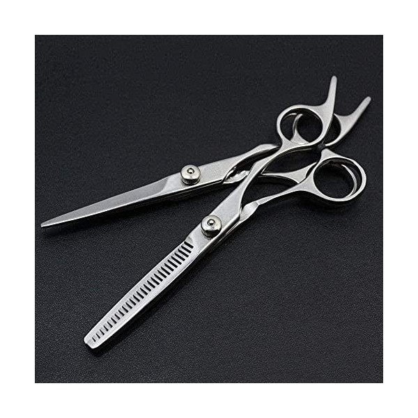 Ciseaux de coiffeur Ciseaux de coiffure professionnels 6 pouces Coiffure Amincissement Ciseaux de coiffeur Set Ciseaux de cou