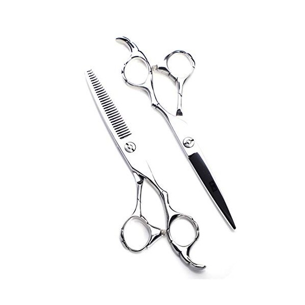 leybold Set De Ciseaux De Coiffure Professionnels, 6,0 Pouces Salons Professionnels Ciseaux De Coupe De Cheveux, Acier Inoxyd