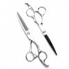 leybold Set De Ciseaux De Coiffure Professionnels, 6,0 Pouces Salons Professionnels Ciseaux De Coupe De Cheveux, Acier Inoxyd