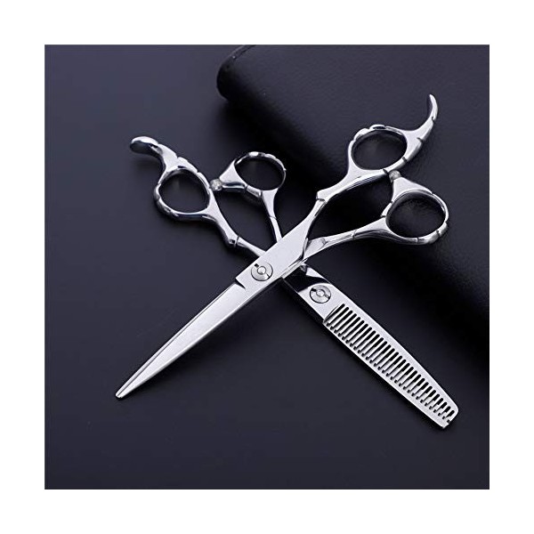 leybold Set De Ciseaux De Coiffure Professionnels, 6,0 Pouces Salons Professionnels Ciseaux De Coupe De Cheveux, Acier Inoxyd